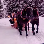 Eco Karpatia Ski&wellness