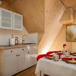 Eco Karpatia Ski&wellness 3* مورزاسيخله