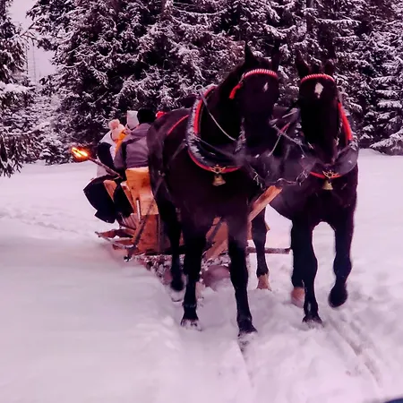 Eco Karpatia Ski&wellness