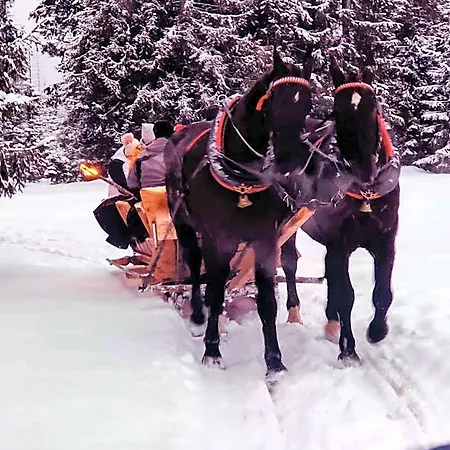 Eco Karpatia Ski&wellness B&B