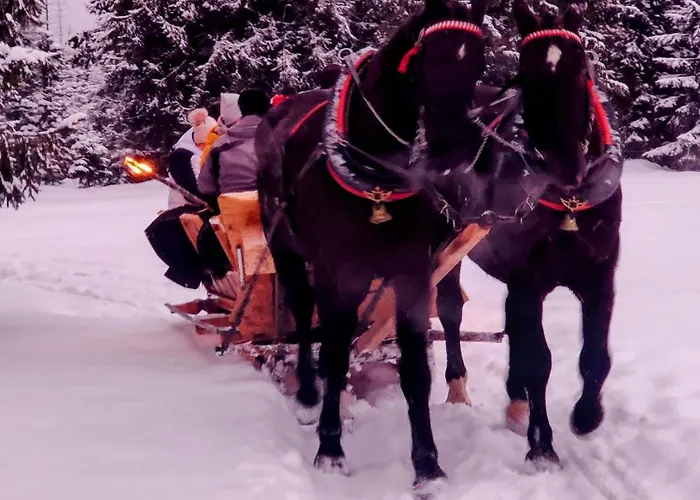 Eco Karpatia Ski&wellness